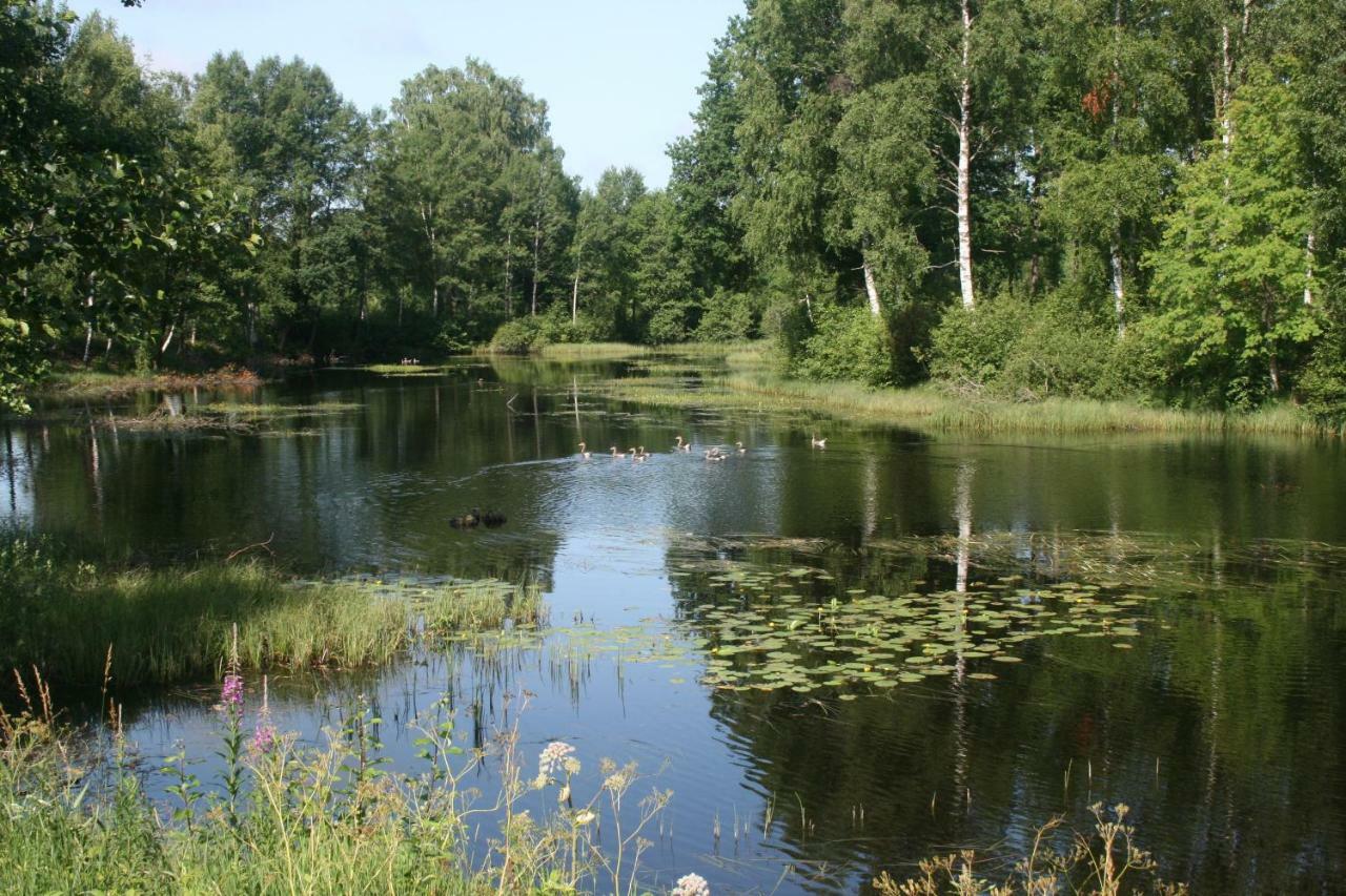 Torups Vandrarhem Torup  Exteriér fotografie